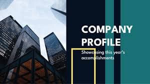 Central Program Analyst